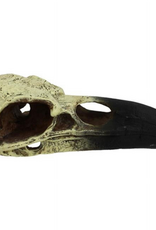 Komodo Komodo Raven Skull  Bone and Black Resin  Aquarium Decor