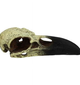 Komodo Komodo Raven Skull  Bone and Black Resin  Aquarium Decor