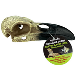 Komodo Komodo Raven Skull  8 inches