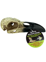 Komodo Komodo Raven Skull  Terrarium or Aquarium Decor for Fish or Reptiles  8 inches