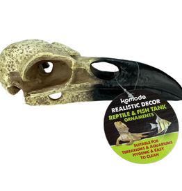 Komodo Komodo Raven Skull  Terrarium or Aquarium Decor for Fish or Reptiles  8 inches