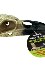 Komodo Komodo Raven Skull  Terrarium or Aquarium Decor for Fish or Reptiles  8 inches