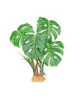 Komodo Komodo Standing Plant Monster Leaf - 18 in.