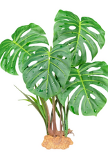 Komodo Komodo Standing Plant Monster Leaf - 18 in.