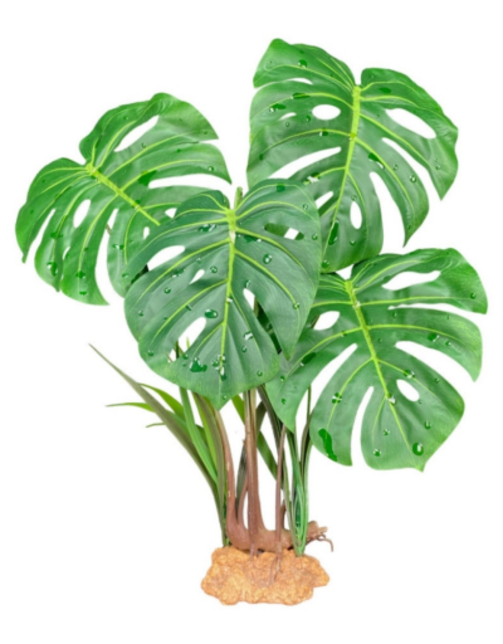 Komodo Komodo Standing Plant Monster Leaf - 18 in.