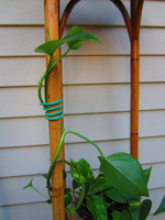 Hydrofarm Hydrofarm Garden Soft Tie - 26' 1/8"