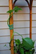 Hydrofarm Hydrofarm Garden Soft Tie - 26' 1/8"