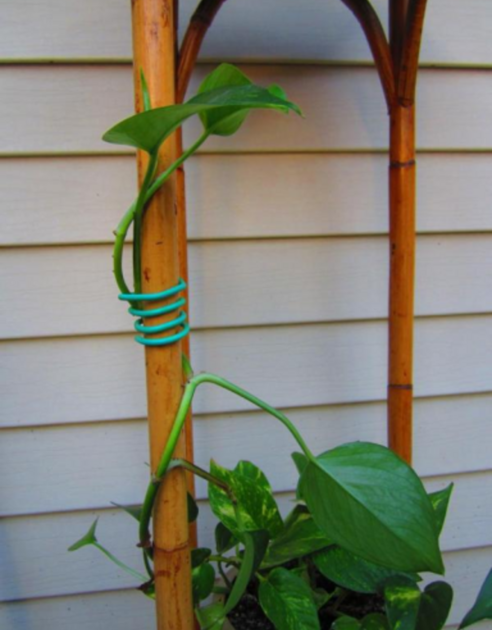 Hydrofarm Hydrofarm Garden Soft Tie - 26' 1/8"