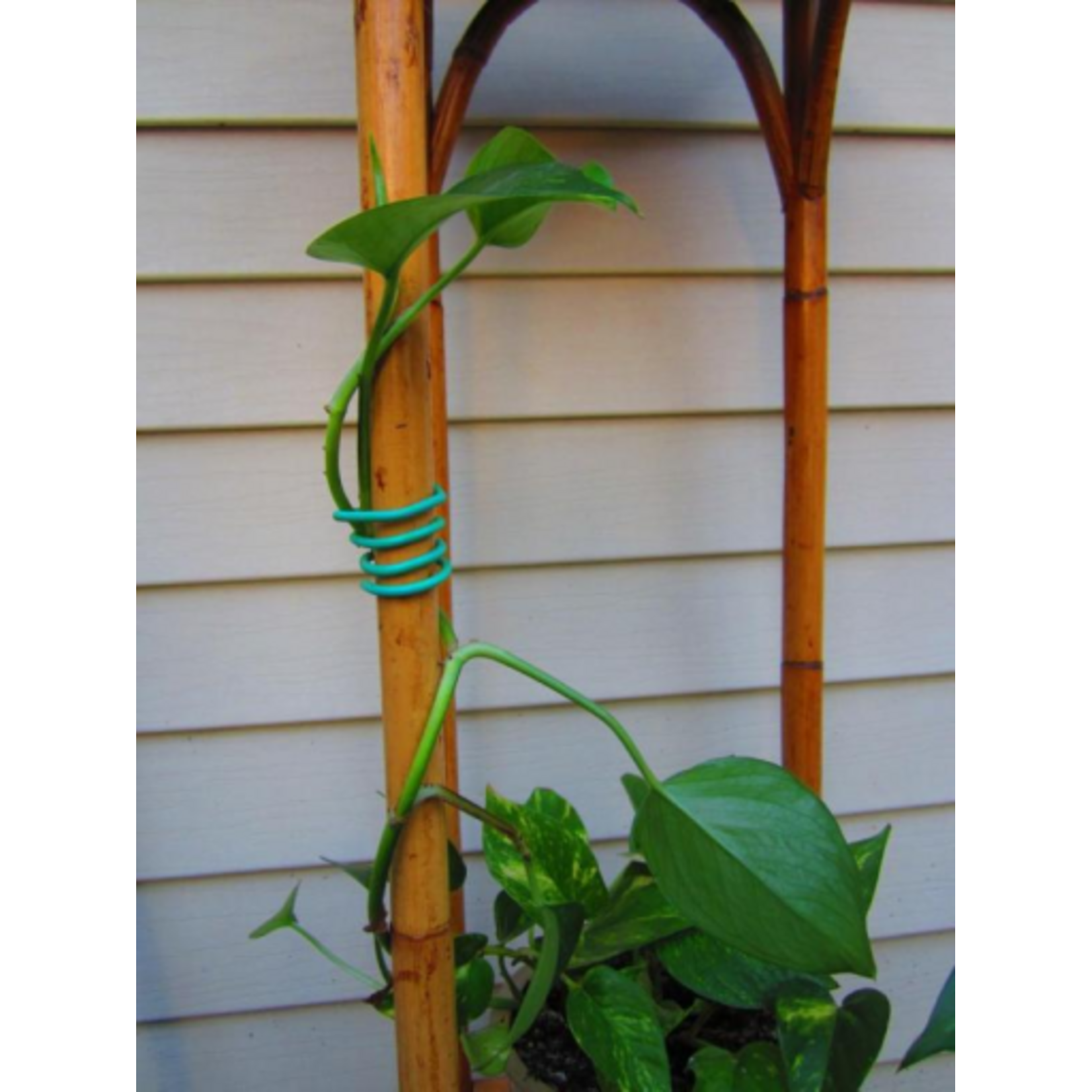 Hydrofarm Hydrofarm Garden Soft Tie - 26' 1/8"