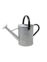 Panacea Panacea Aged Galvanized Watering Can - 1 Gallon