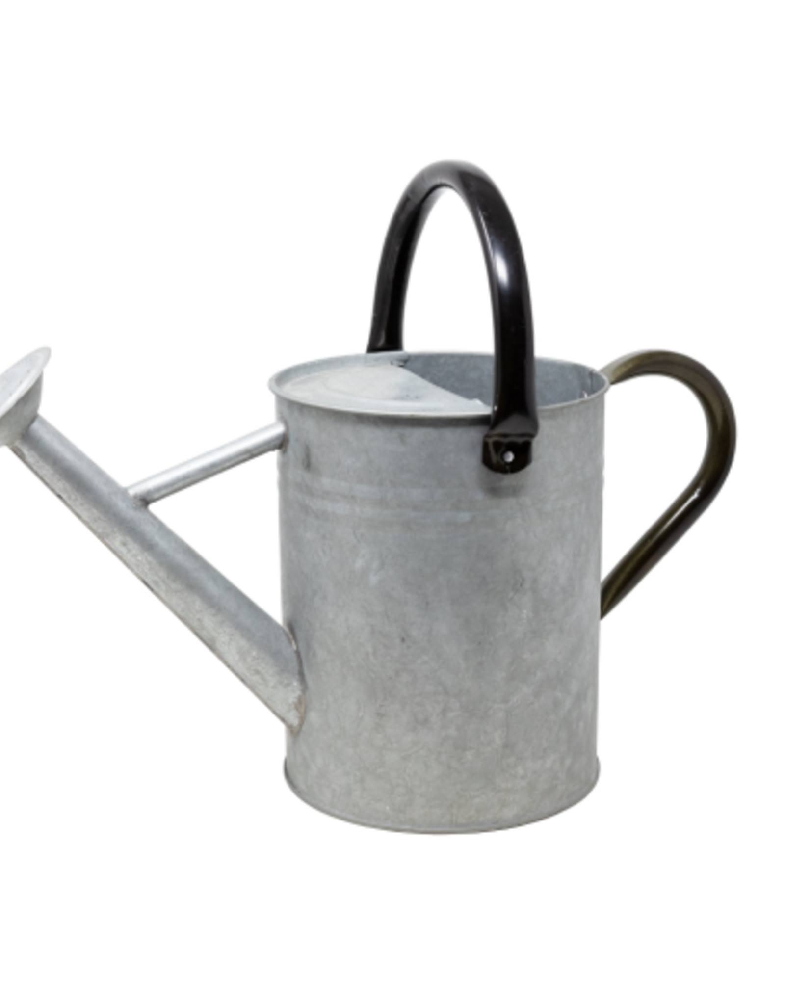 Woodlink Panacea Products-Aged Galvanized Watering Can- Galvanized 1 Gallon