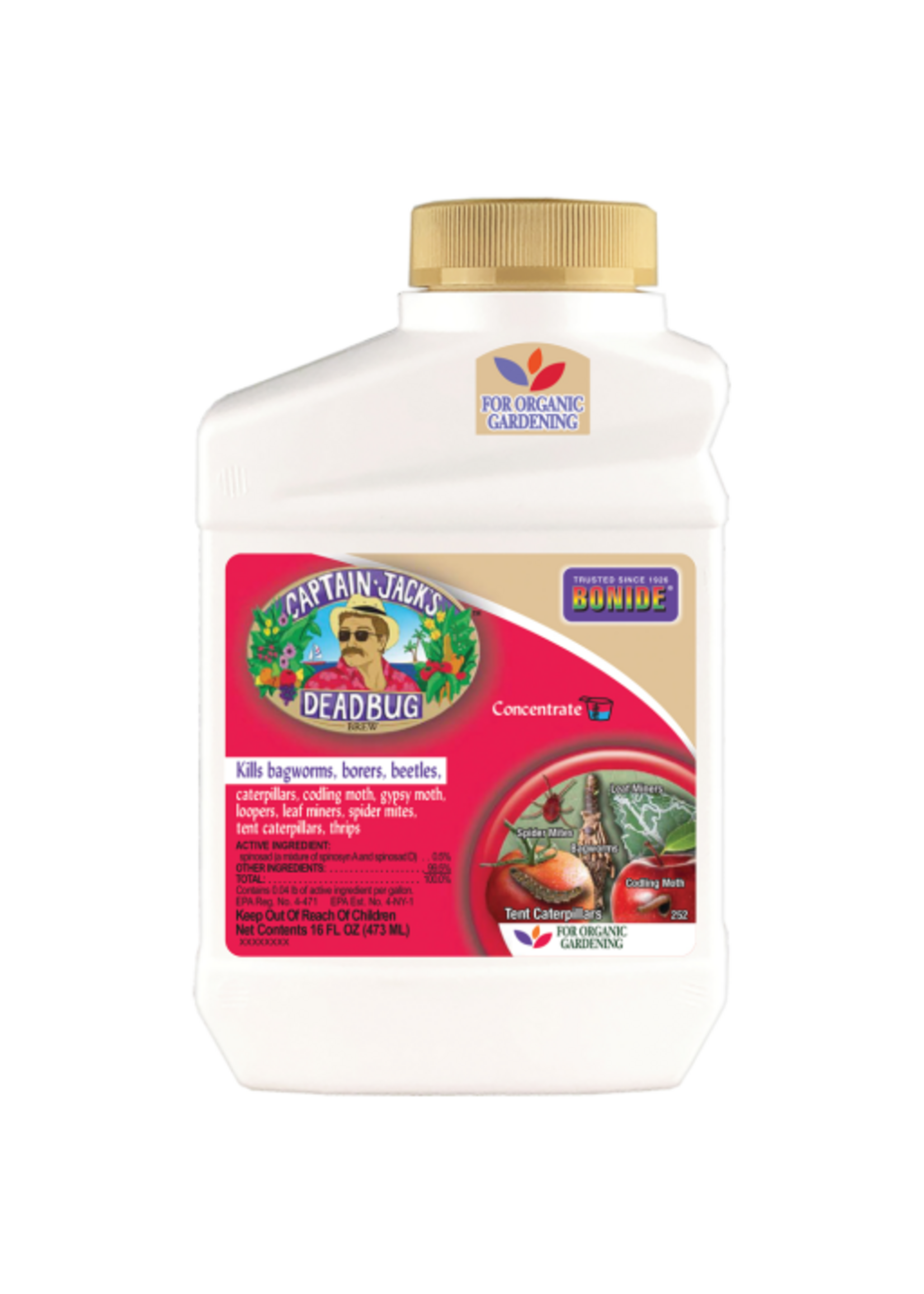 Bonide Captain Jack's Deadbug Brew Concentrated Insecticide for Organic Gardening - 16 oz