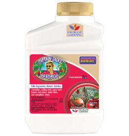 Bonide Captain Jack's Deadbug Brew Concentrated Insecticide for Organic Gardening - 16 oz