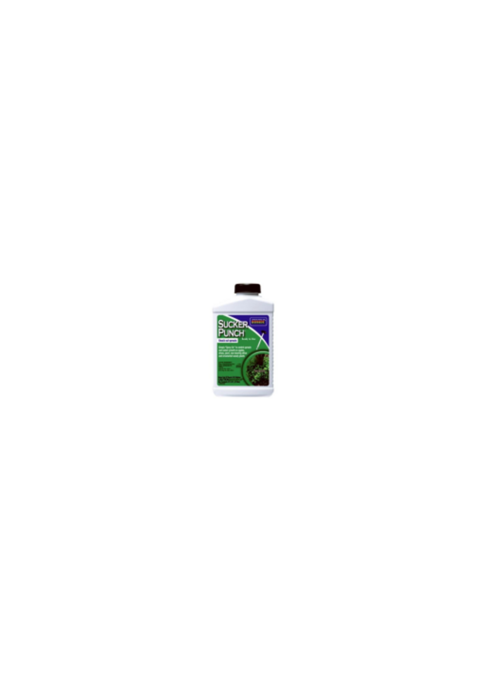 Bonide Sucker Punch Brush Top RTU - 8 oz