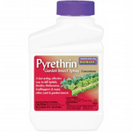 Bonide PYRETHRIN GARDEN INSECT SPRAY Concentrate - 16 oz