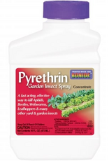 Bonide PYRETHRIN GARDEN INSECT SPRAY Concentrate - 16 oz