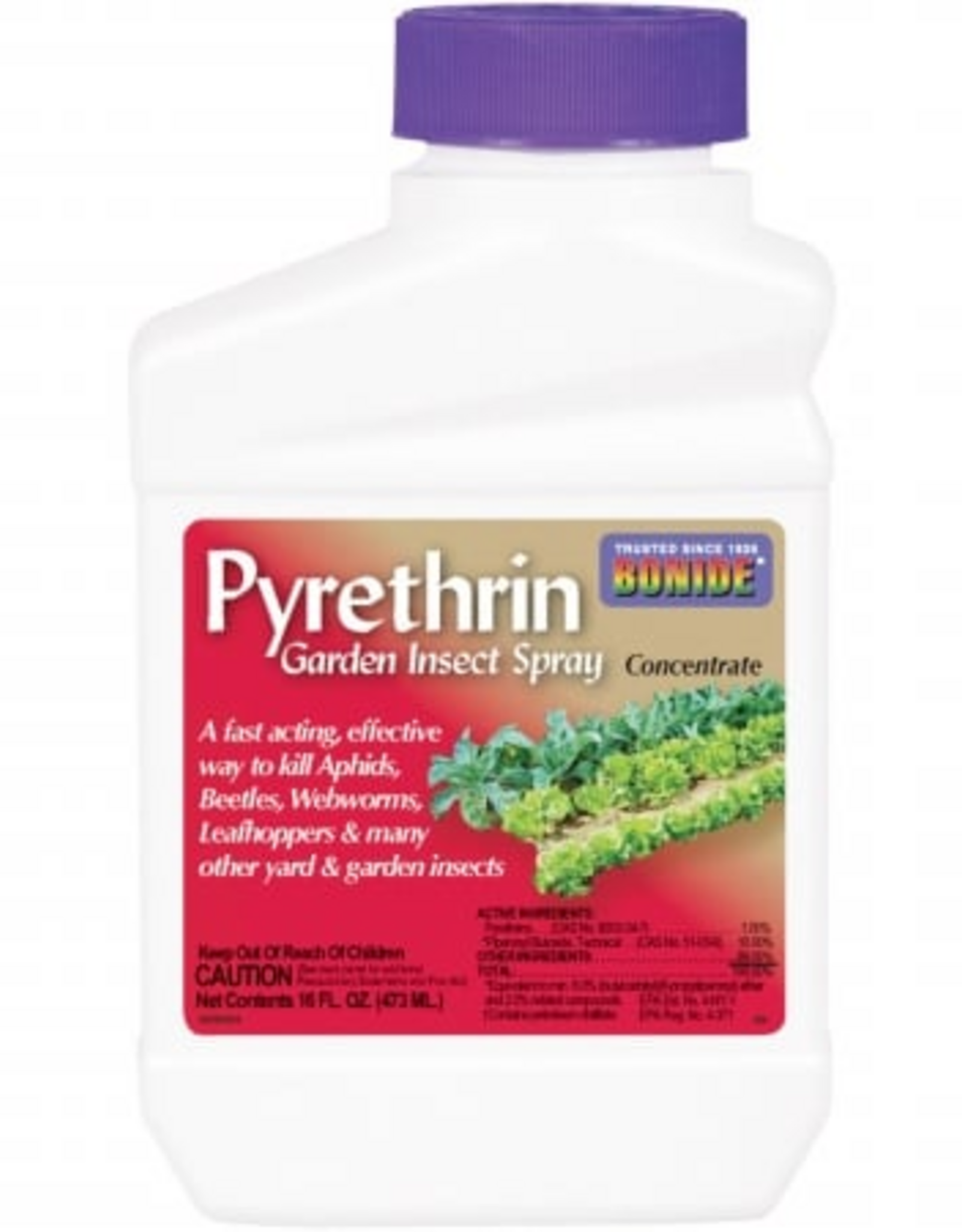 Bonide PYRETHRIN GARDEN INSECT SPRAY Concentrate - 16 oz