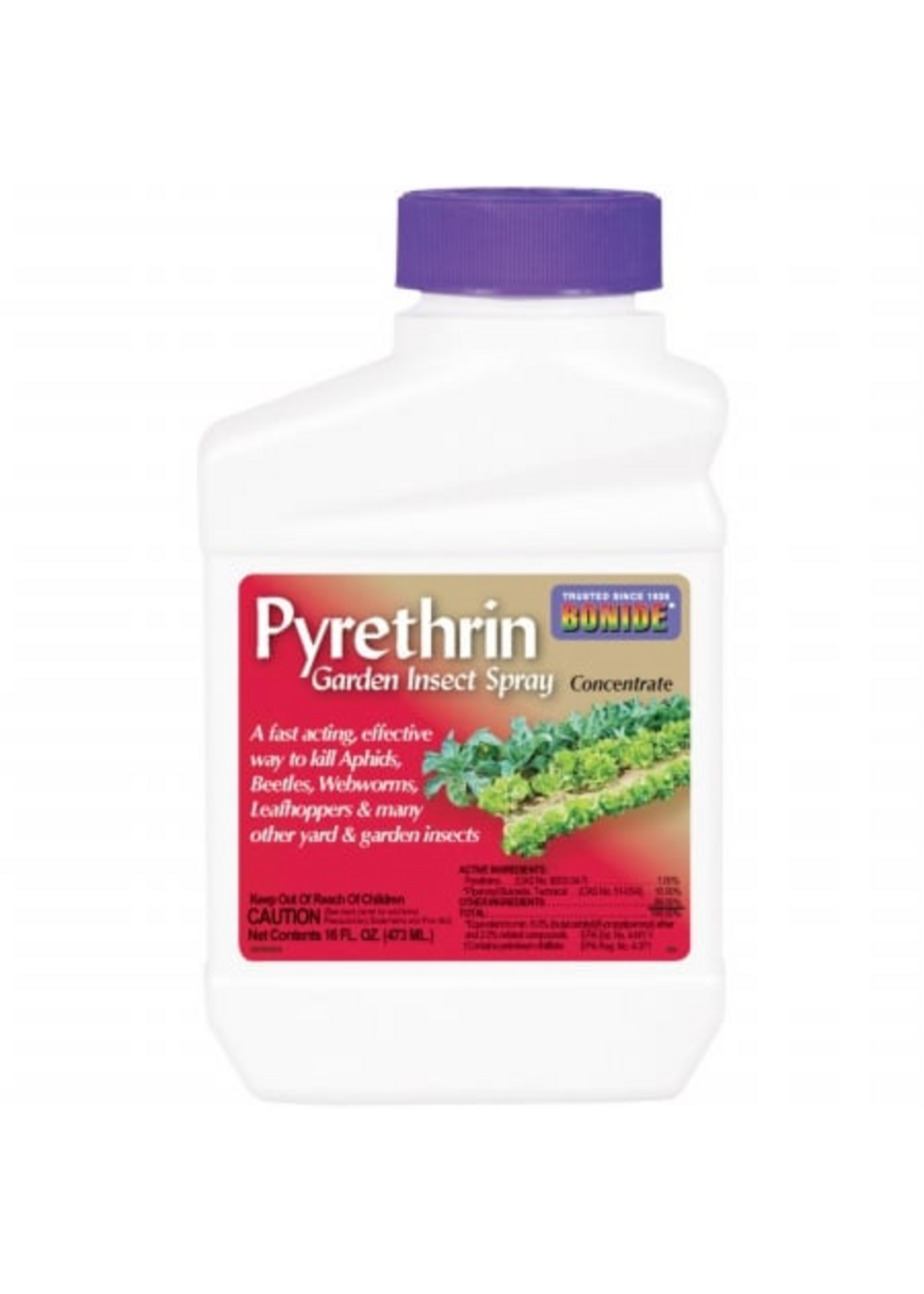 Bonide PYRETHRIN GARDEN INSECT SPRAY Concentrate - 16 oz