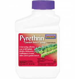 Bonide PYRETHRIN GARDEN INSECT SPRAY Concentrate - 16 oz