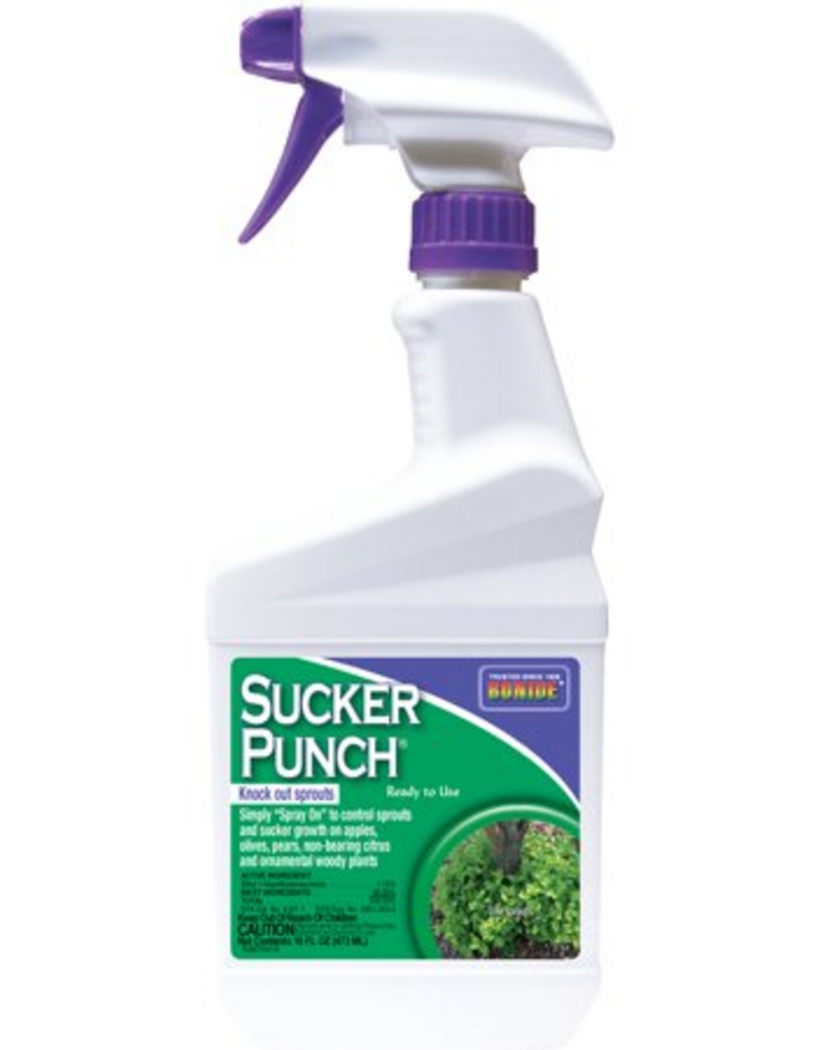 BONIDE SUCKER PUNCH 16OZ