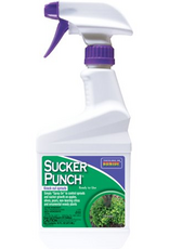 BONIDE SUCKER PUNCH 16OZ