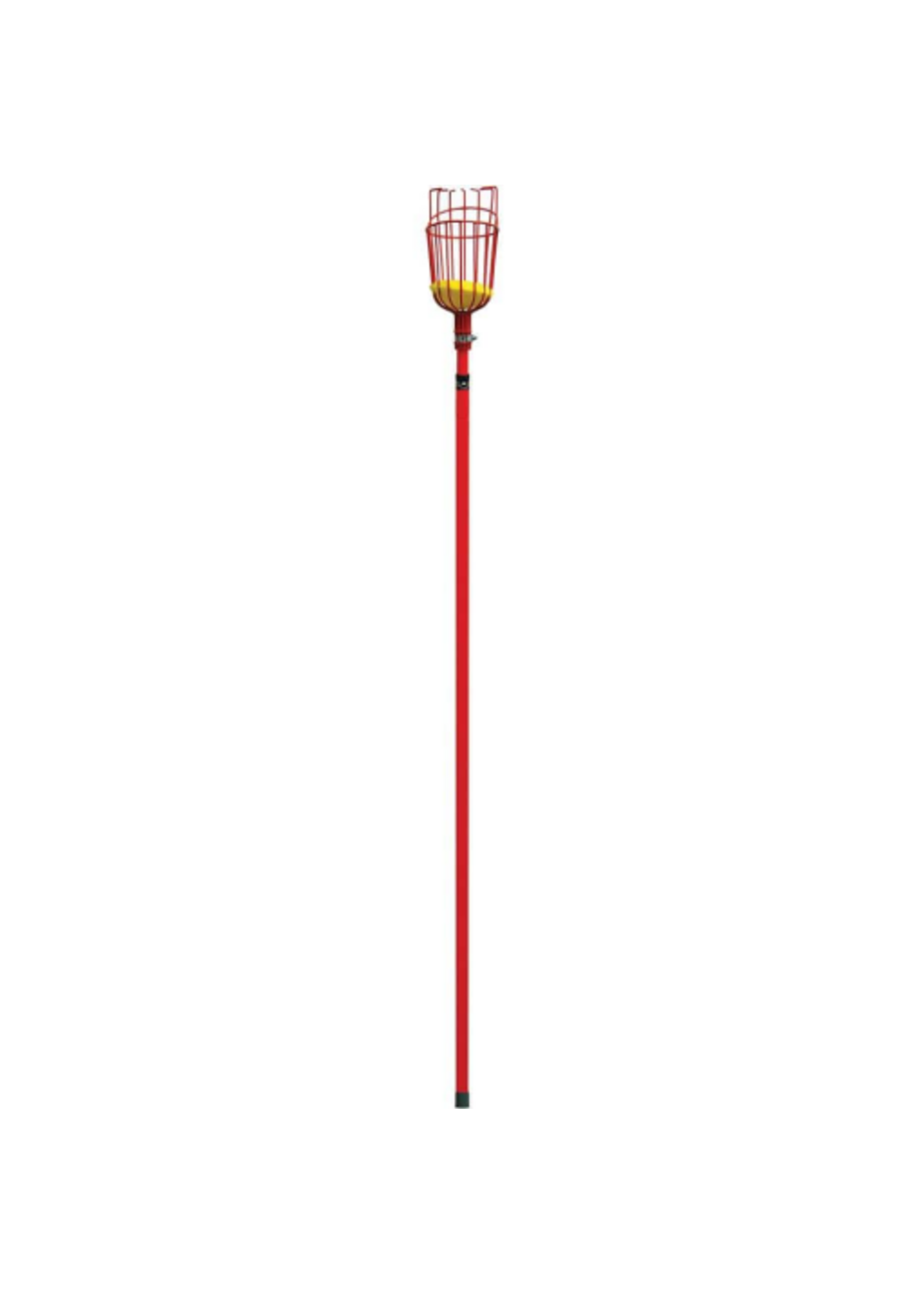 Corona Corona Extendable Fruit Picker Metal Gardening and Harvesting Tool - 12 foot