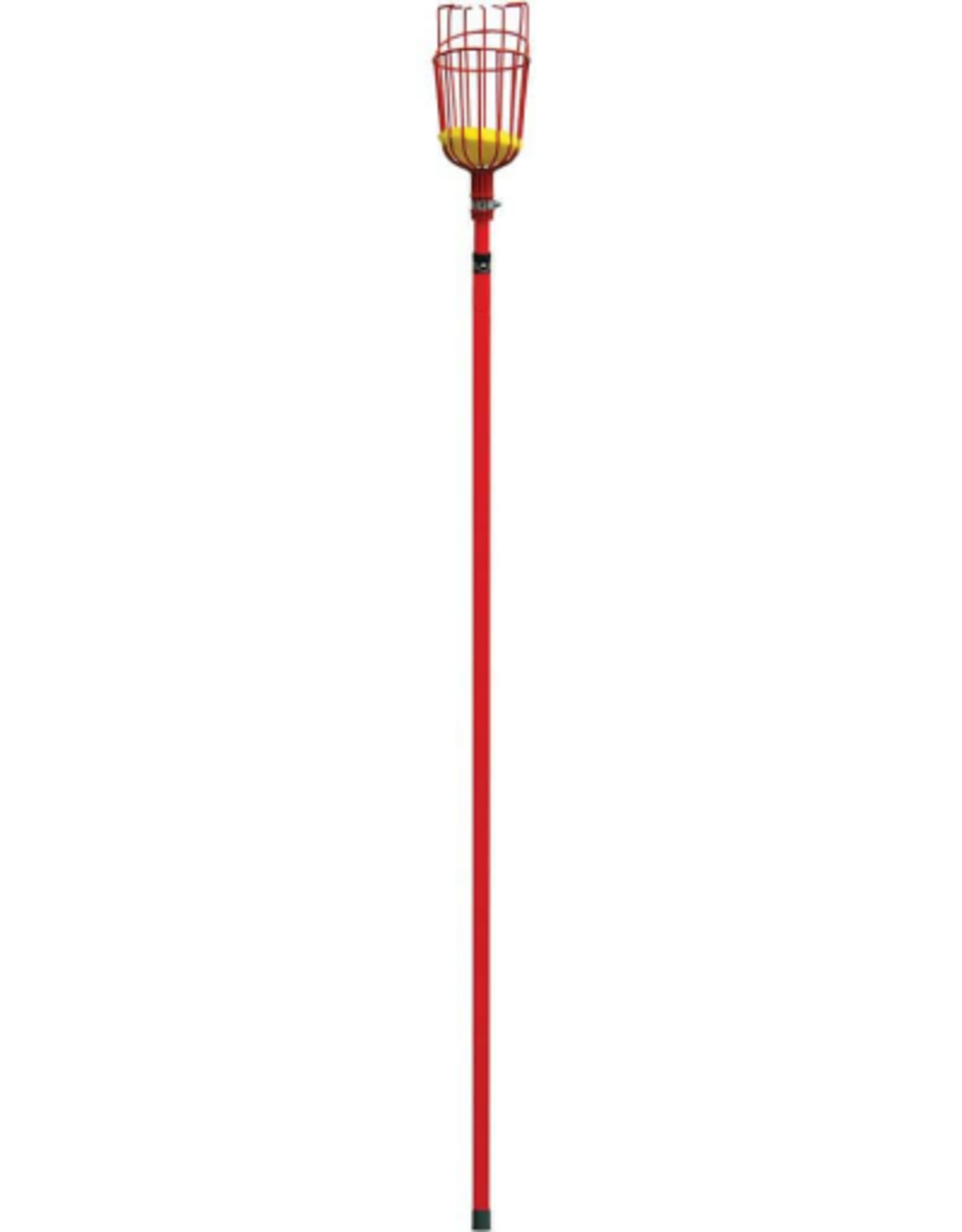 Corona Corona Extendable Fruit Picker Metal Gardening and Harvesting Tool - 12 foot
