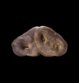 Vital Essentials Vital Essentials Freeze-Dried Raw Bar Dog Chews - Pig Snouts