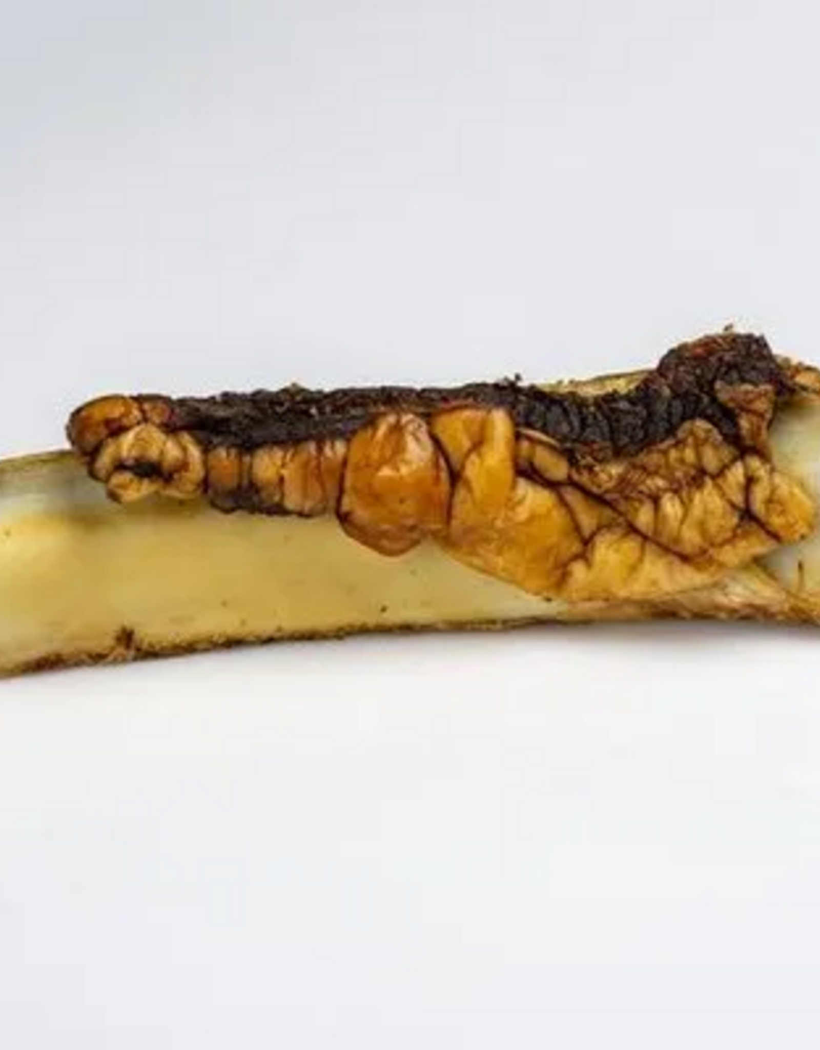 Butcher's Prime Tailwagger Rib Bone 8"
