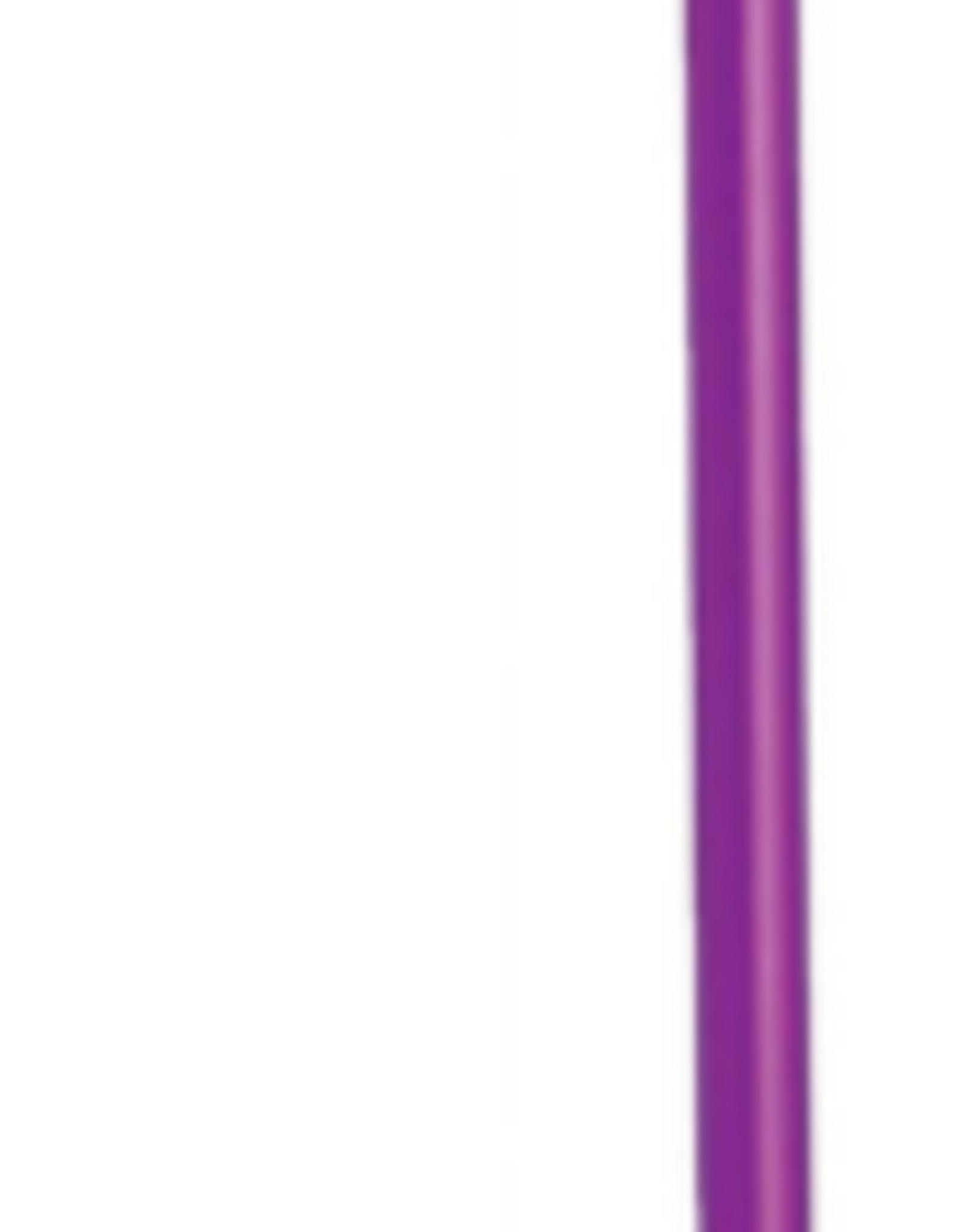 Dramm Touch N Flow Rain Wand - Berry