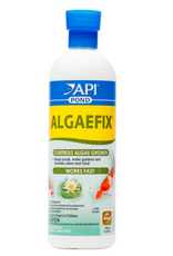 API POND ALGAEFIX 16 OZ
