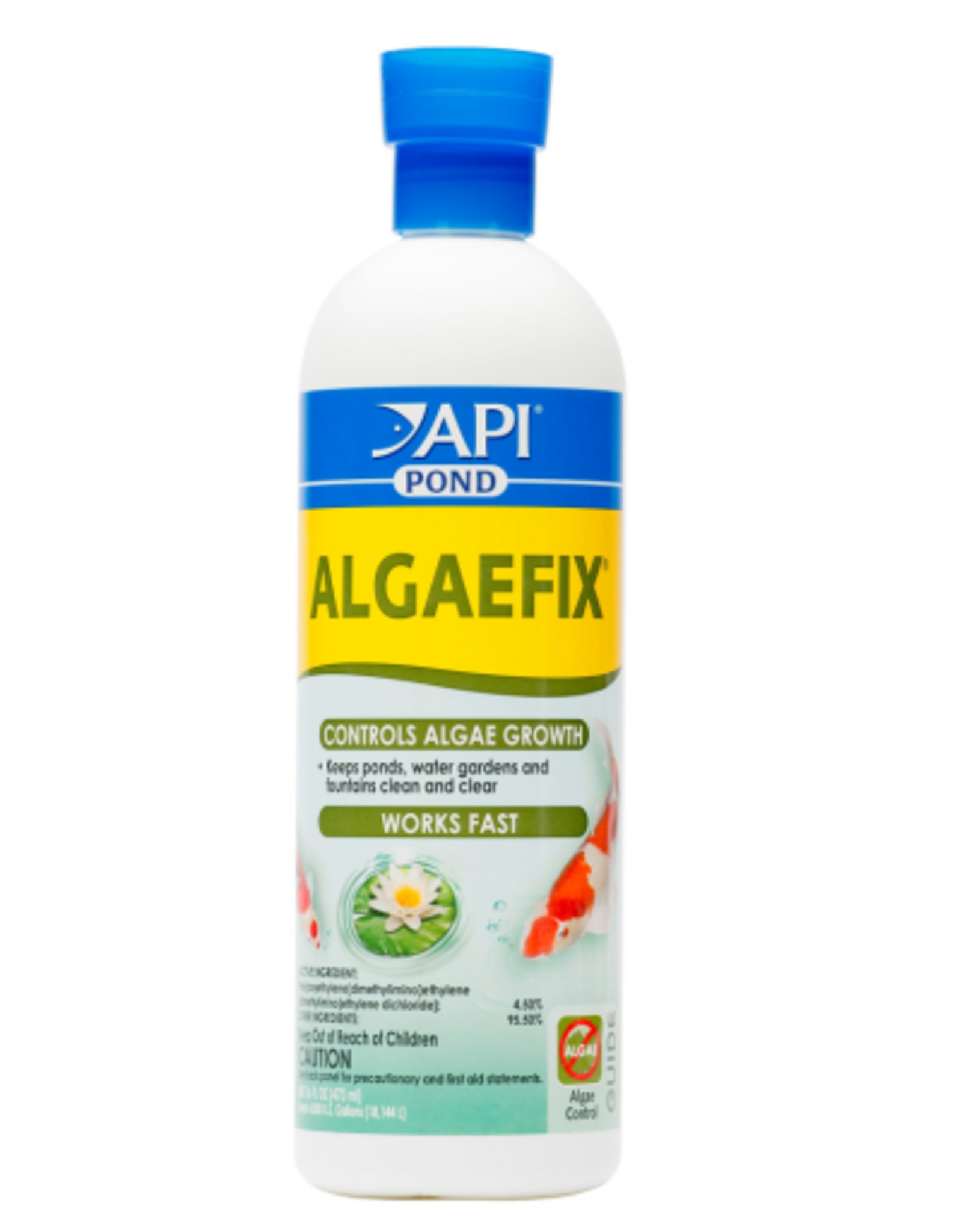 API POND ALGAEFIX 16 OZ