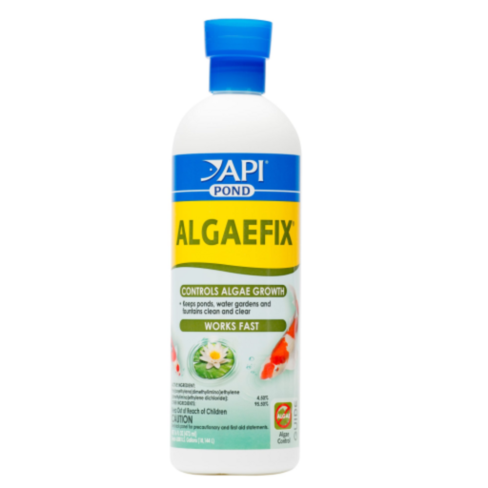 API POND ALGAEFIX 16 OZ