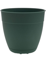 Bloem Bloem 8-in Dayton 100% Recycled Plastic Planter with Saucer - Turtle Green
