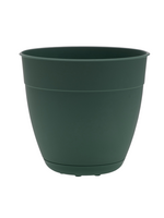 Bloem Bloem 6-in Dayton 100% Recycled Plastic Planter with Saucer - Turtle Green