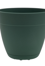 Bloem Bloem 6-in Dayton 100% Recycled Plastic Planter with Saucer - Turtle Green