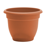 Bloem Bloem 8-in Ariana Self Watering Plastic Planter - Terra Cotta Color
