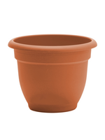 Bloem Bloem 8-in Ariana Self Watering Plastic Planter - Terra Cotta Color
