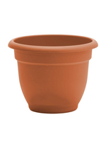 Bloem Bloem Ariana Self Watering Pot Planter - 12"