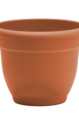 Bloem Bloem Ariana Self Watering Pot Planter - 12"