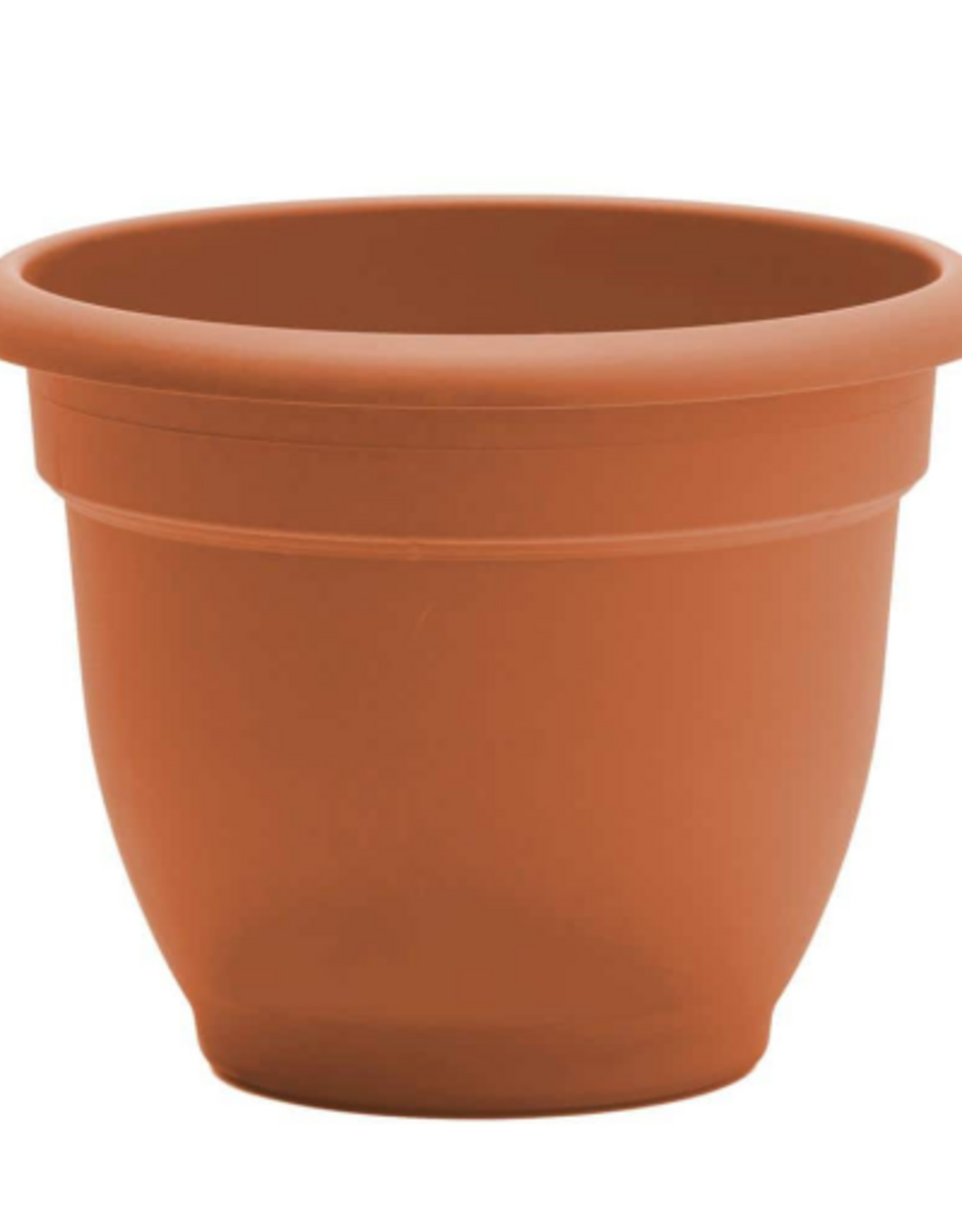 Bloem Bloem Ariana Self Watering Pot Planter - 12"