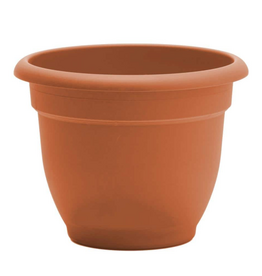 Bloem Bloem Ariana Self Watering Pot Planter - 12"