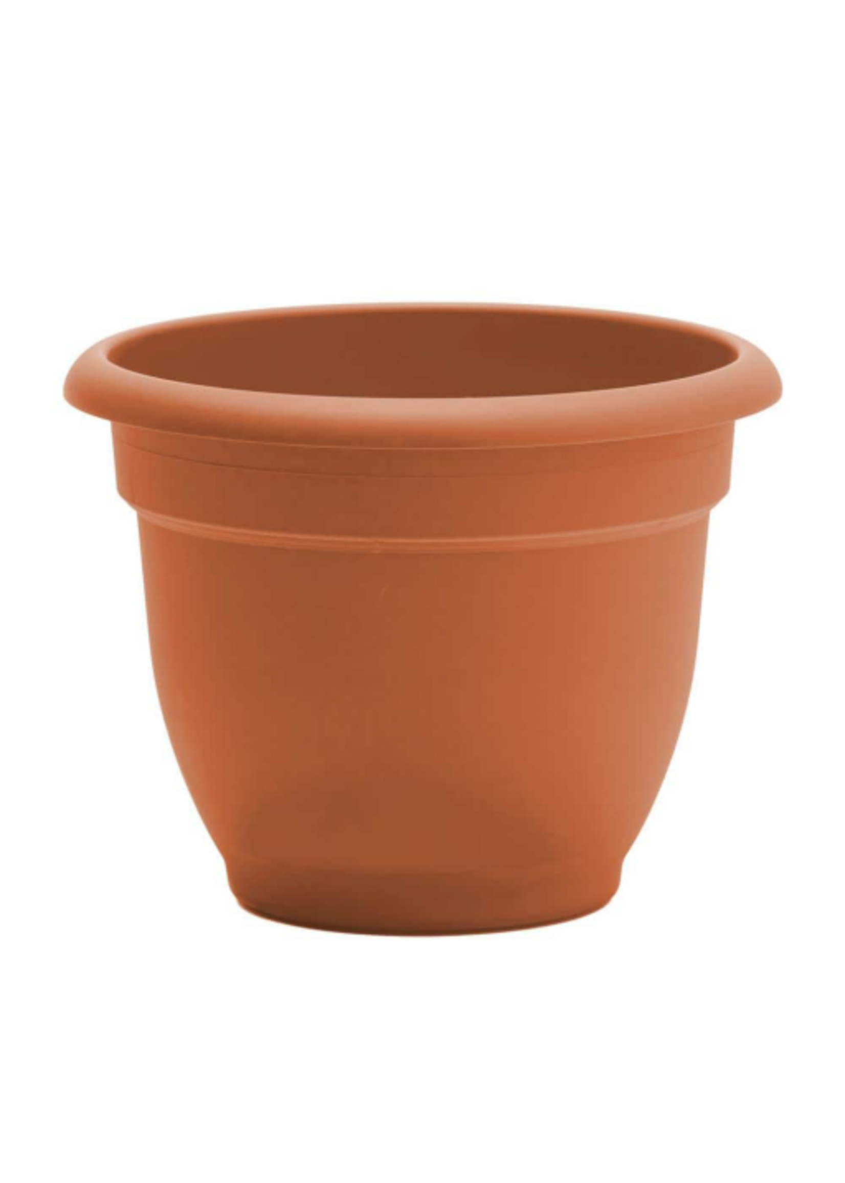 Bloem Bloem Ariana Self Watering Pot Planter - 12"