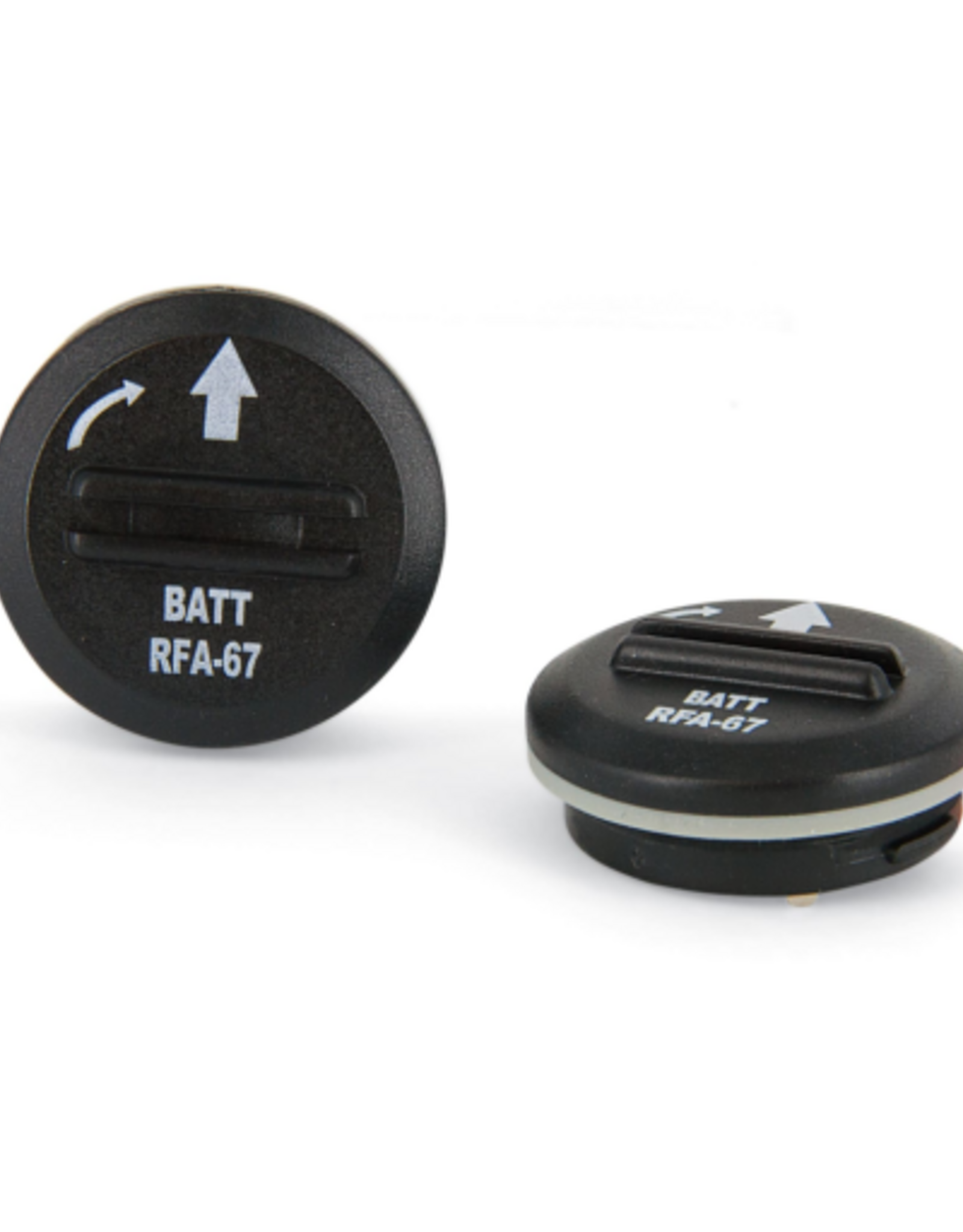 PetSafe PetSafe 6 Volt Replacement Batteries - 2 Pack, RFA-67D-11, Black