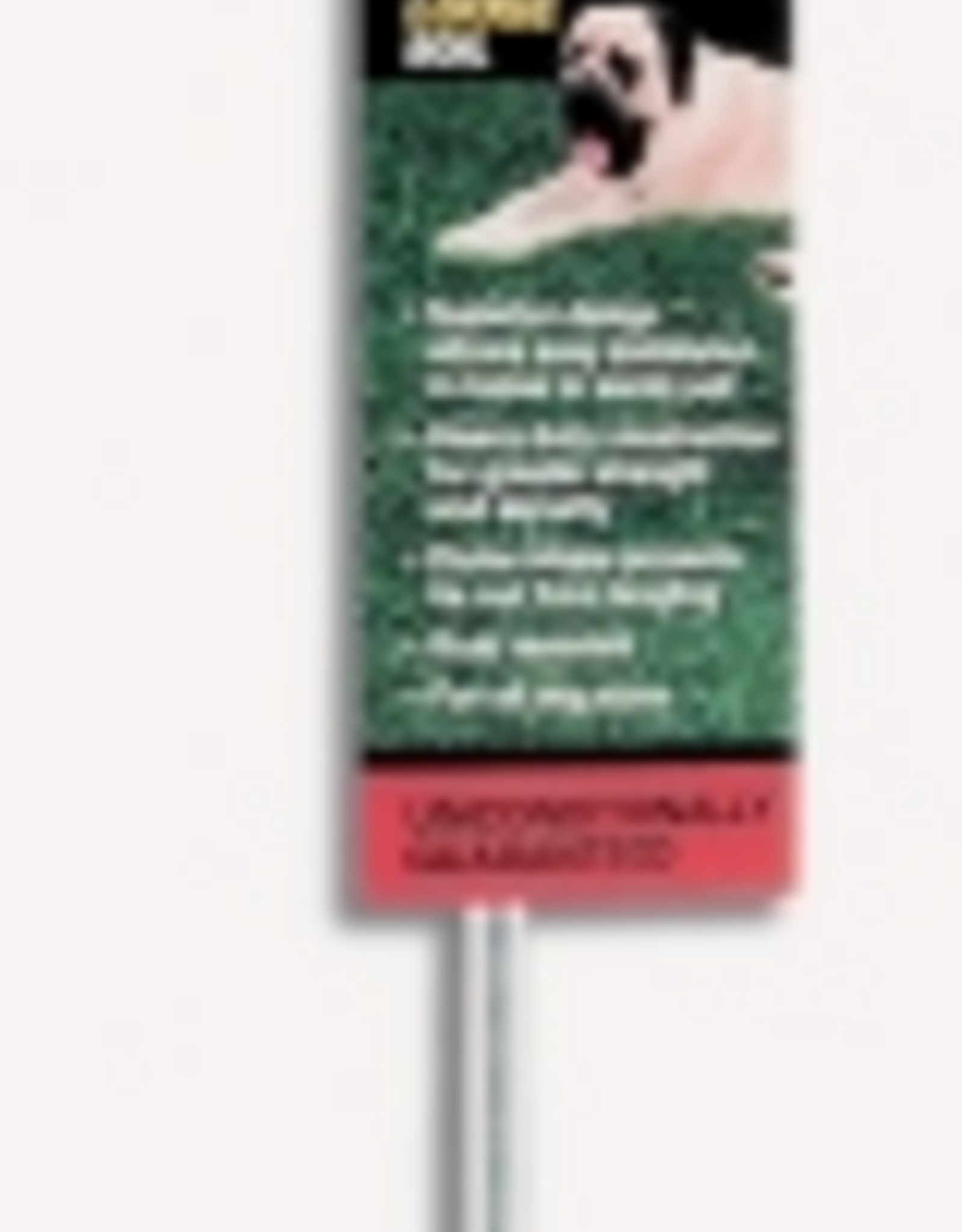 Coastal Pet Products Coastal Titan Giant Auger Dome Dog Tie Out Stake - Assorted Color, 13 MM X 24 Inch