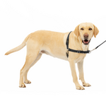 PetSafe PetSafe Easy Walk No-Pull Leash Training Dog Harness  Large  Black