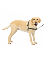 PetSafe PetSafe Easy Walk No-Pull Leash Training Dog Harness  Large  Black