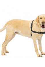 PetSafe PetSafe Easy Walk No-Pull Leash Training Dog Harness  Large  Black