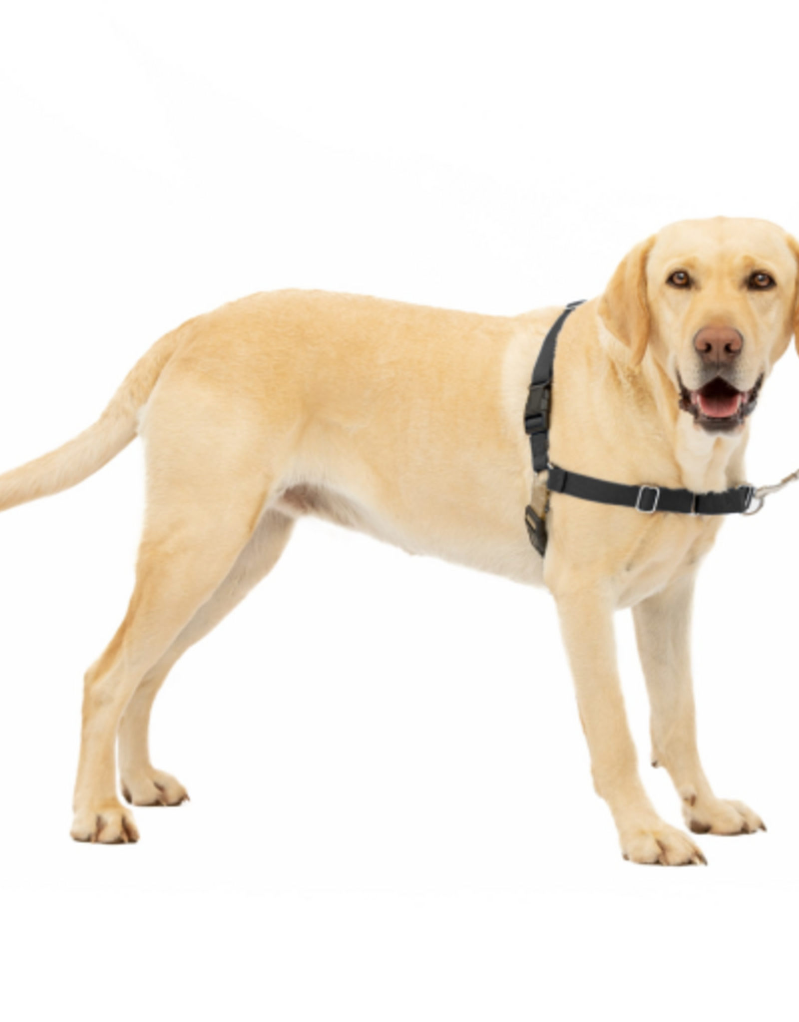 PetSafe PetSafe Easy Walk No-Pull Leash Training Dog Harness  Large  Black