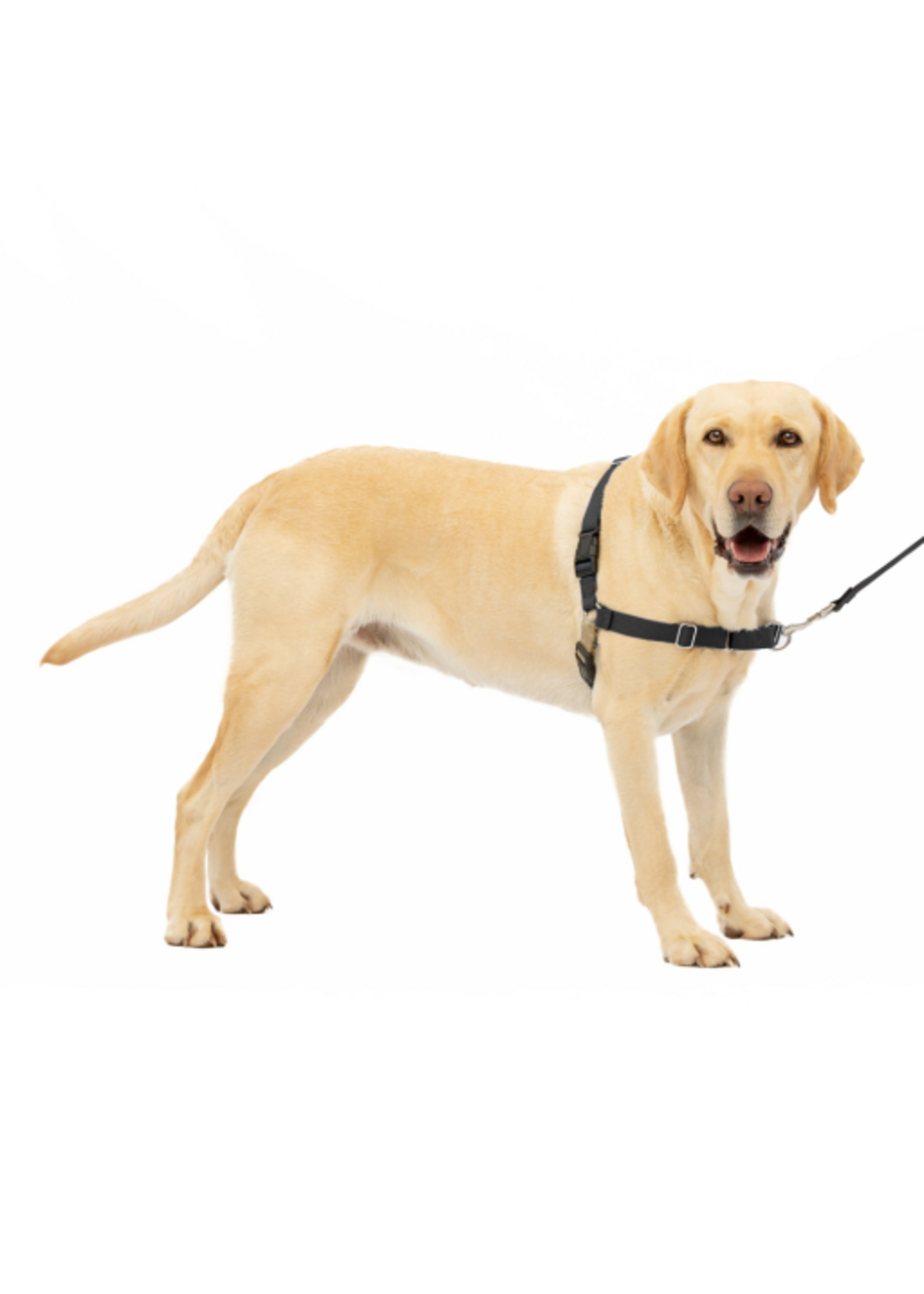 PetSafe PetSafe Easy Walk No-Pull Leash Training Dog Harness  Large  Black